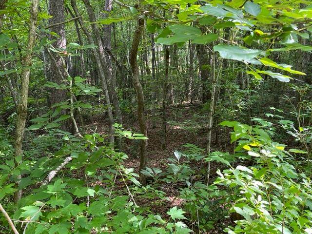 00 Penlands Indian Trl - Photo 1