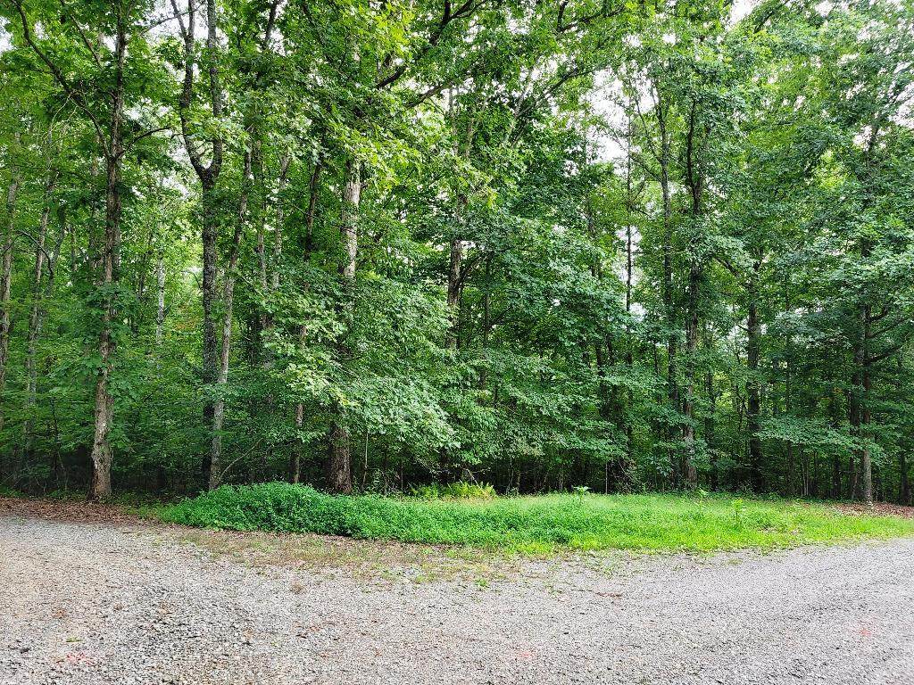 Lot 8 Mountain Wood Dr - Photo 1