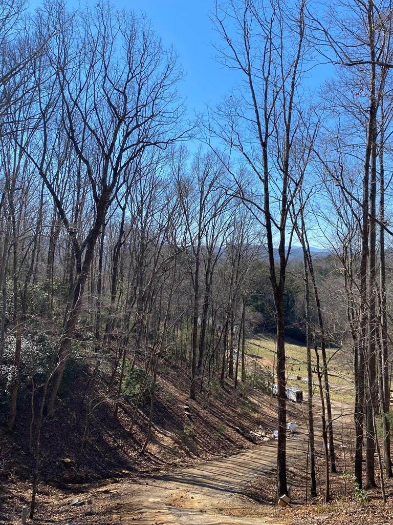 Lot 39 High Meadows Court - Photo 1
