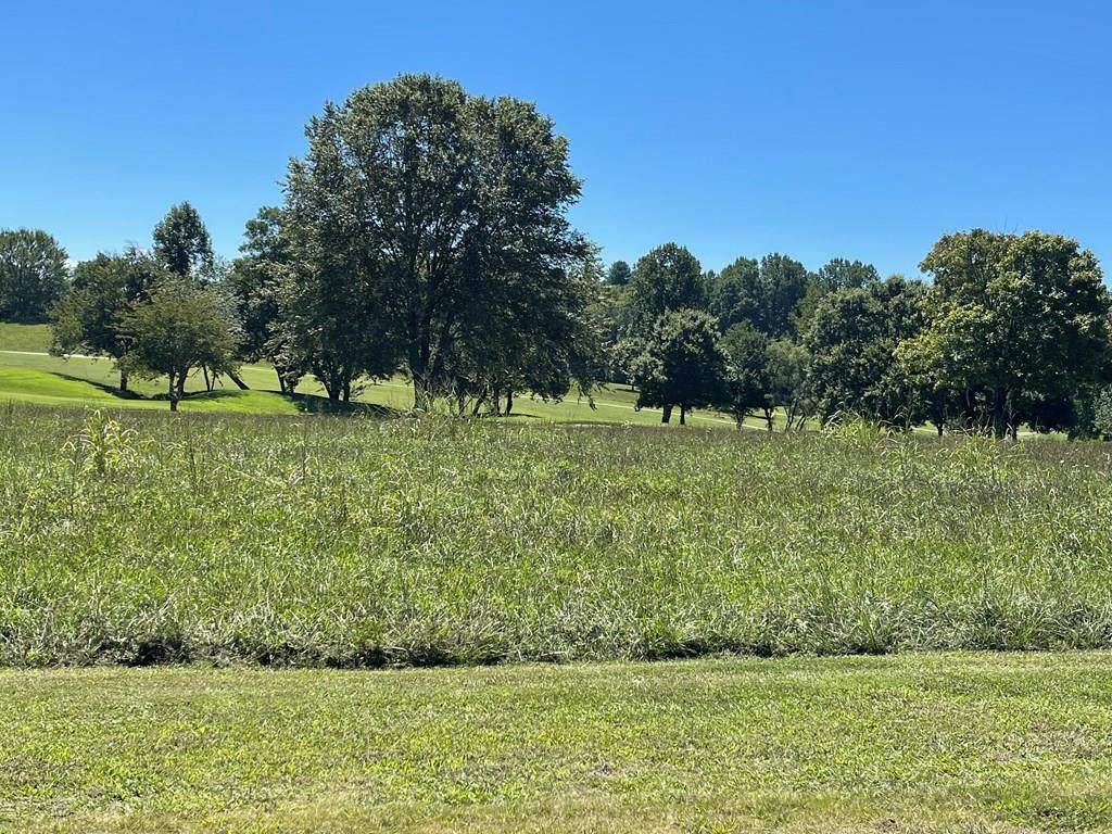 Lot 12M Ridges Overlook - Photo 1