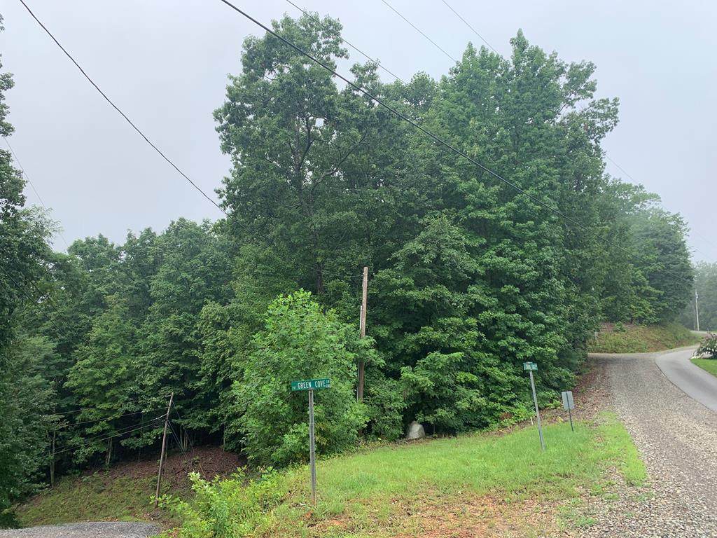 Lot 20 Wolf Ridge Lane - Photo 1