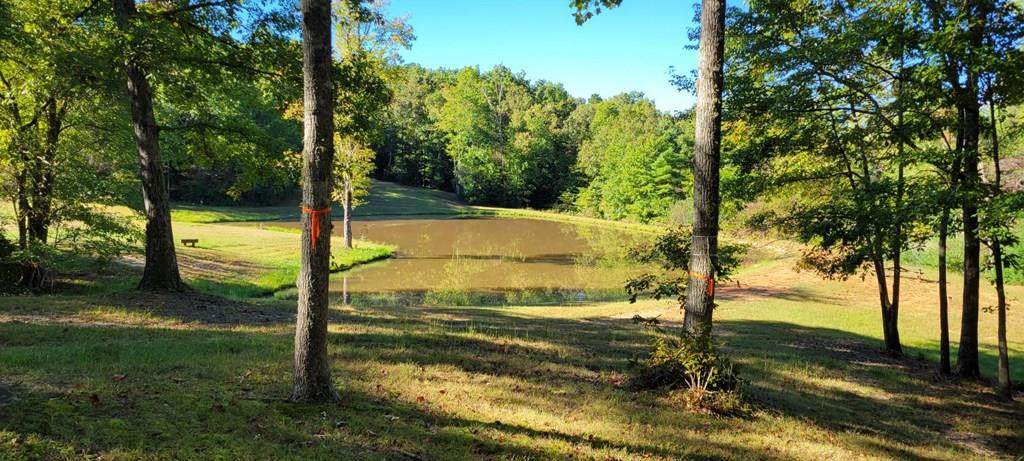 0 John Laurel Rd - Photo 1