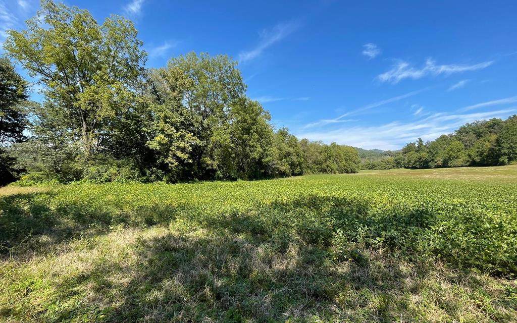 35+ Ac Jarrett Rd - Photo 1