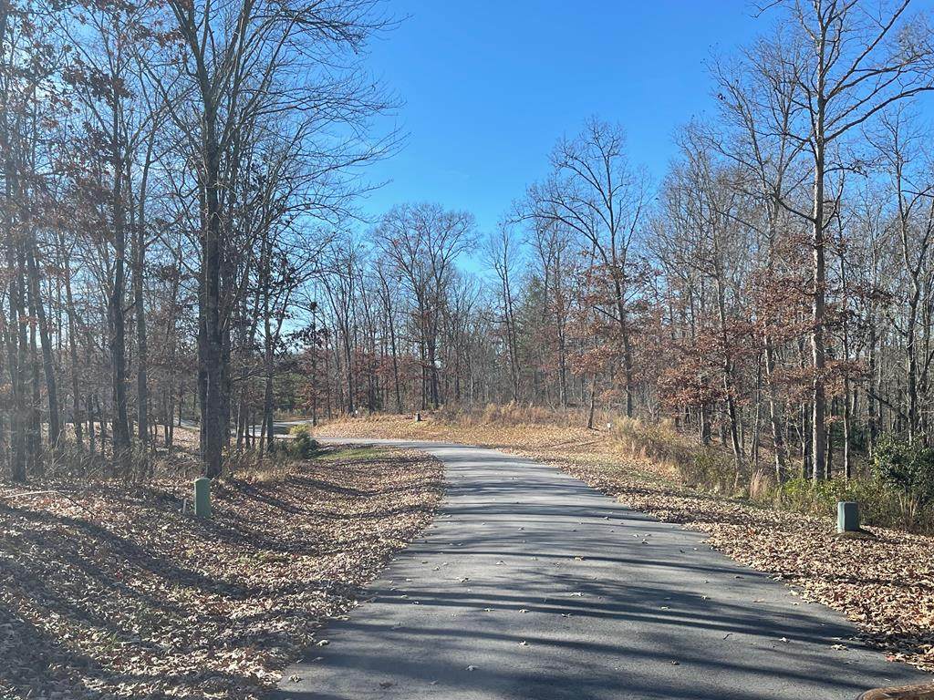 Lot 112 River Mountain Road - Photo 1