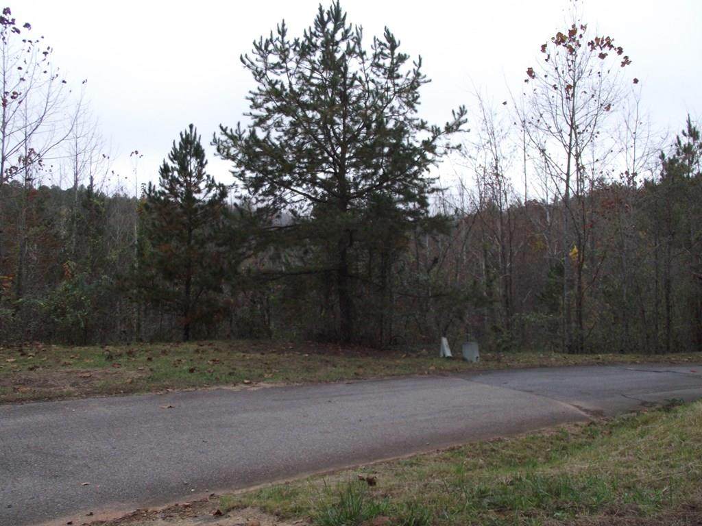Lots 1-4 Hiwassee Lakeside Dr - Photo 1