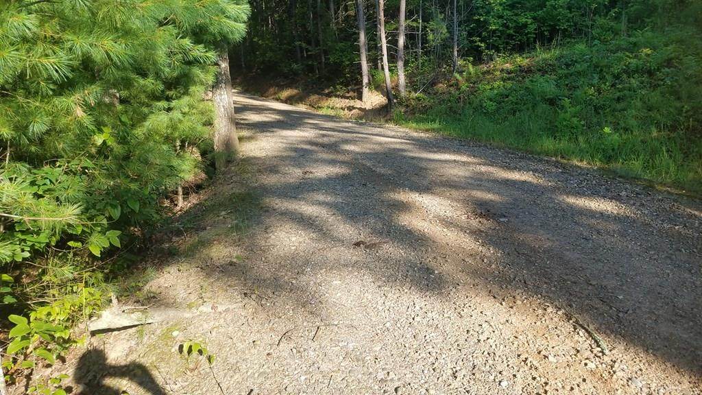 45 Mountain Lake Drive - Photo 1