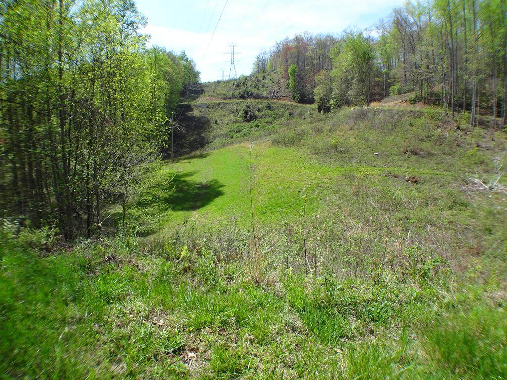 Lot10&11 Deweese Rd - Photo 1