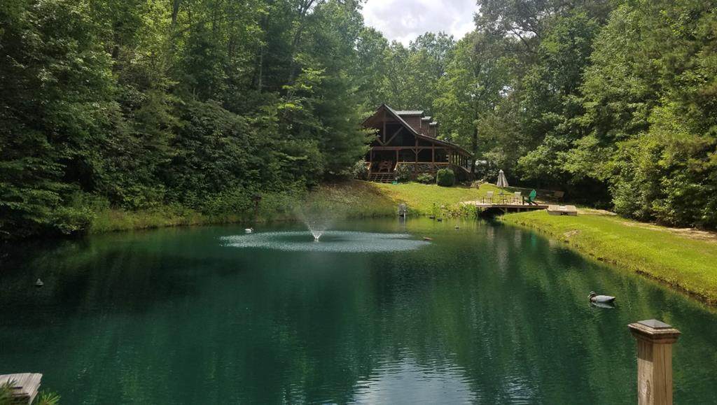 480 Sandy Gap - Photo 1