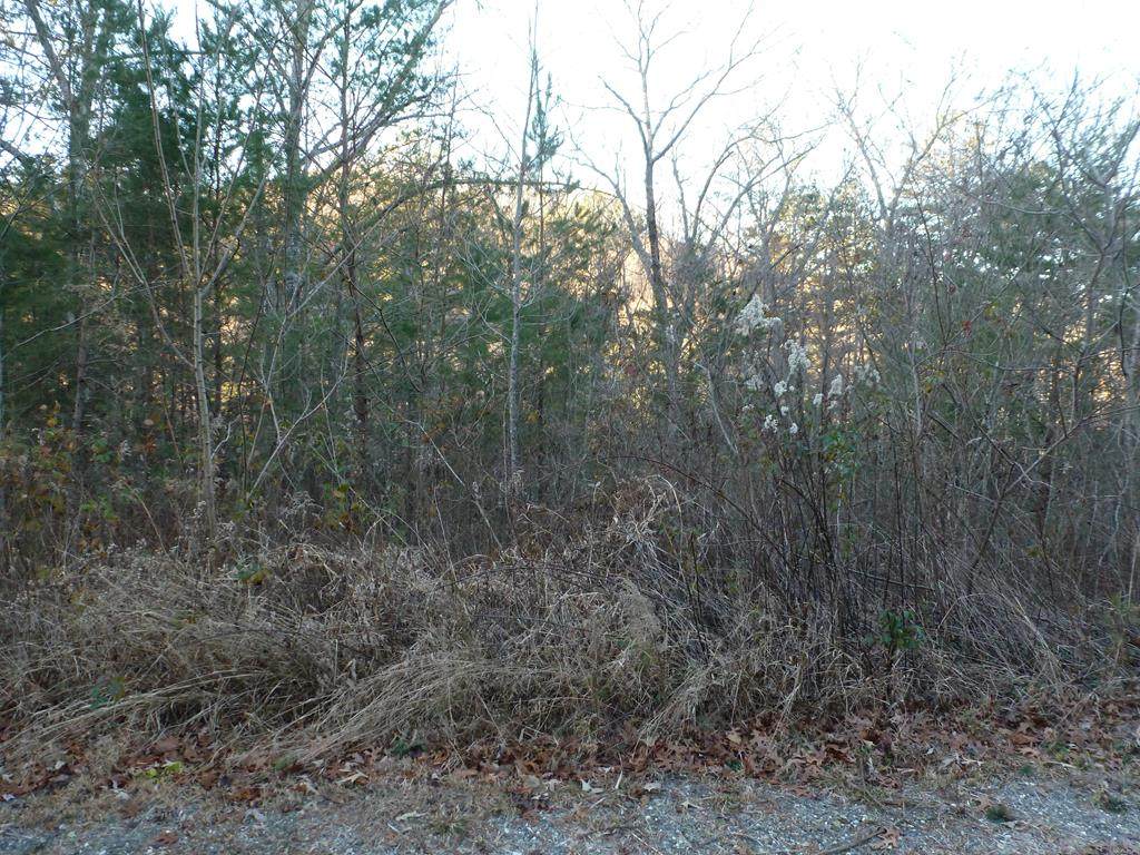 Lot 4-B Trillium Heights - Photo 1