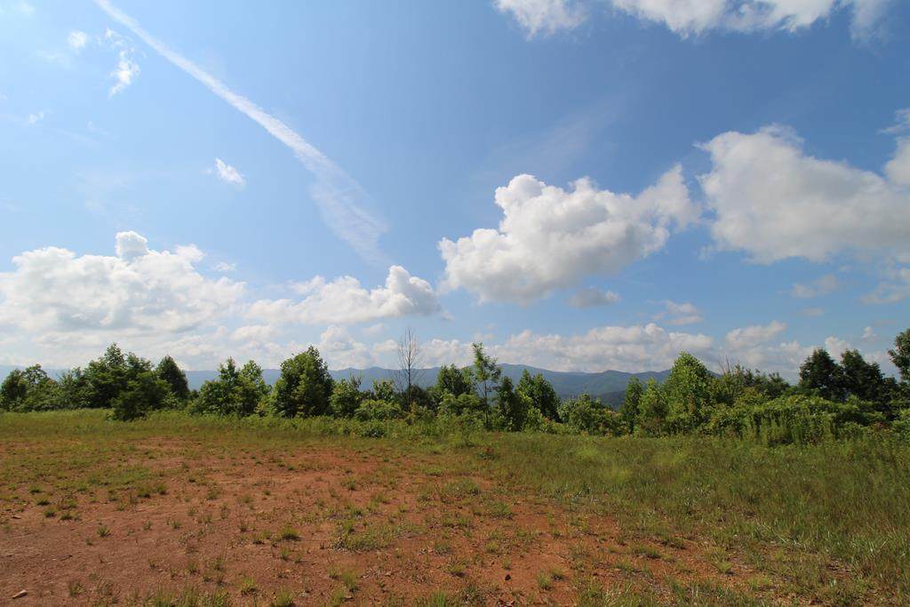 889 Walnut Cove Road - Photo 1