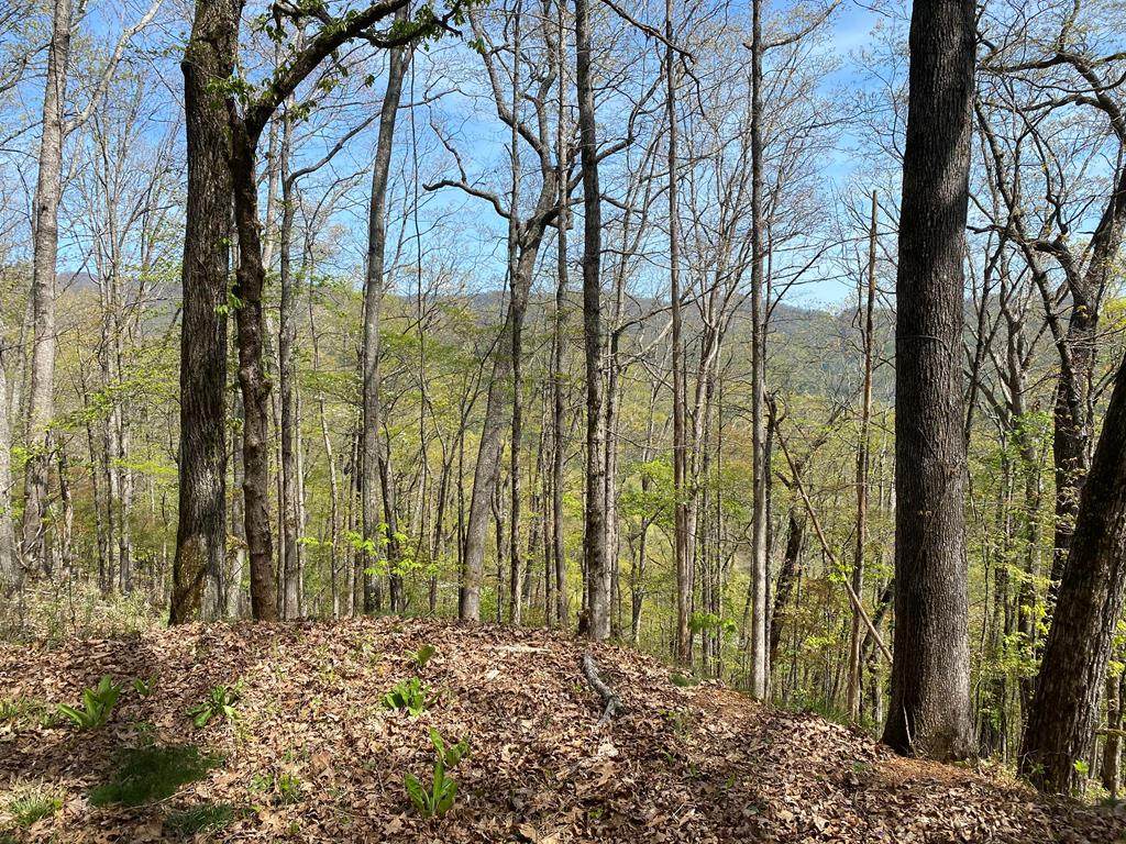 0 Brush Creek - Photo 1