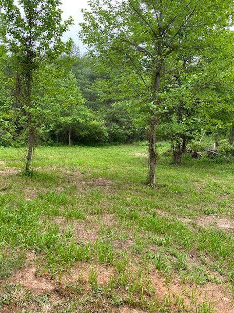 Lot 39 Misty River Circle - Photo 1
