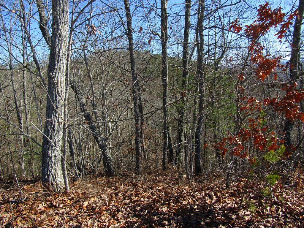 Lot 15 Patriot Ridge - Photo 1