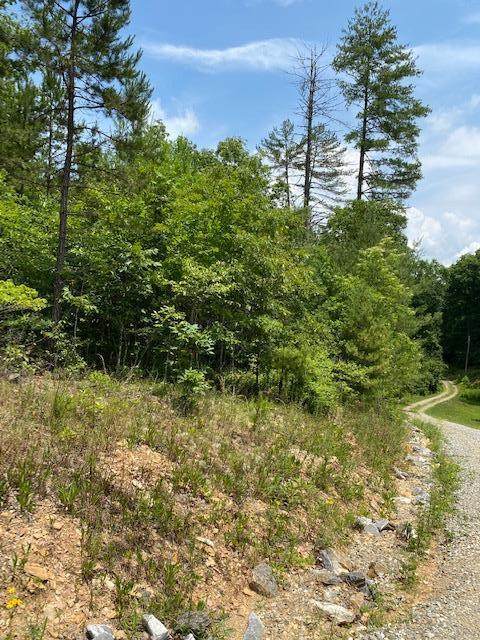 0 Rebel Ridge - Photo 1