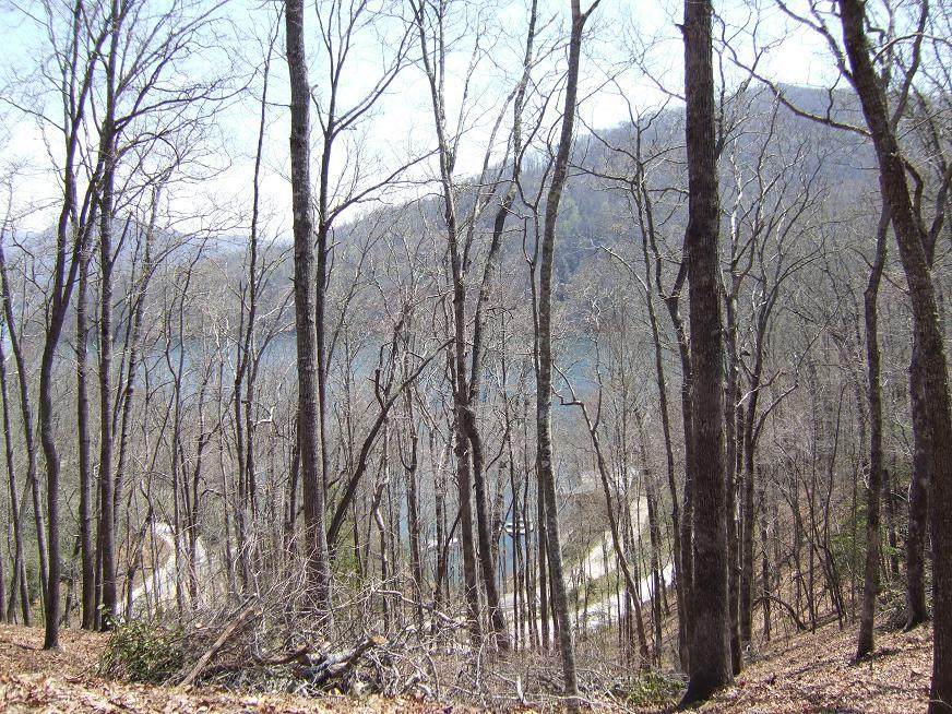 lot 70 Vista Loop Road - Photo 1