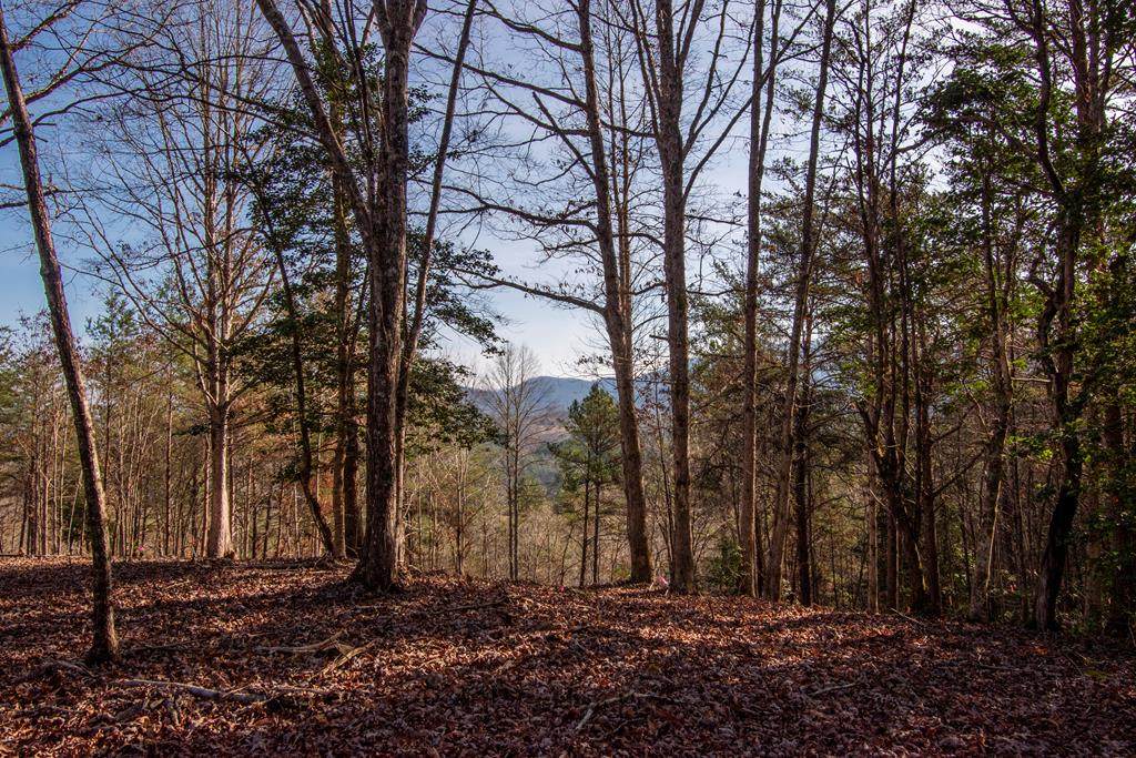 10A Willow Ridge - Photo 1