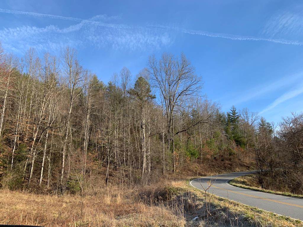 3685 Candy Mountian Road - Photo 1
