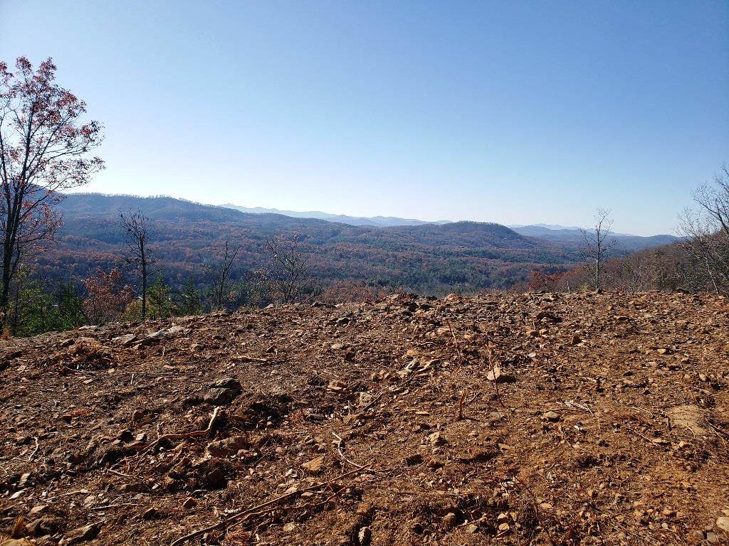 Lot 8&8A Bergan Moore Rd - Photo 1