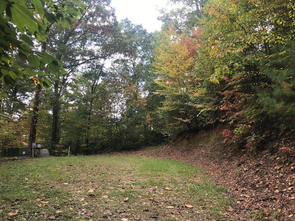 oo Mtn. Vista Lane - Photo 1