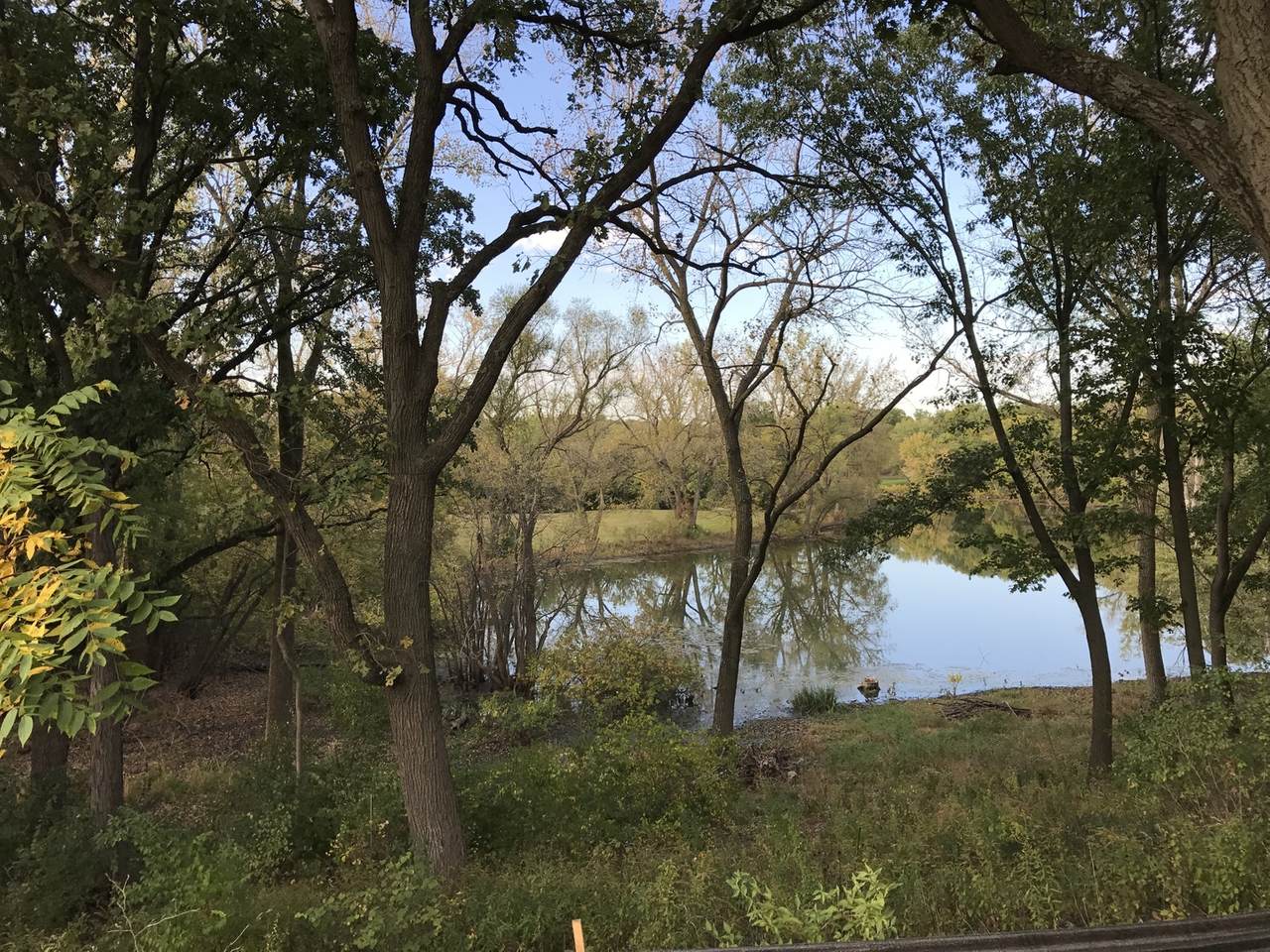 231 Butternut Road - Photo 1