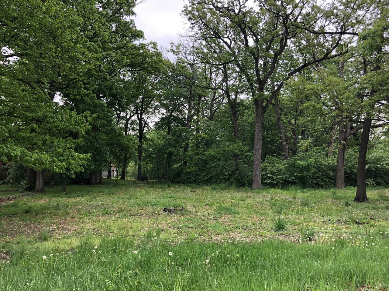 302 Lot3 Nolton Avenue - Photo 1