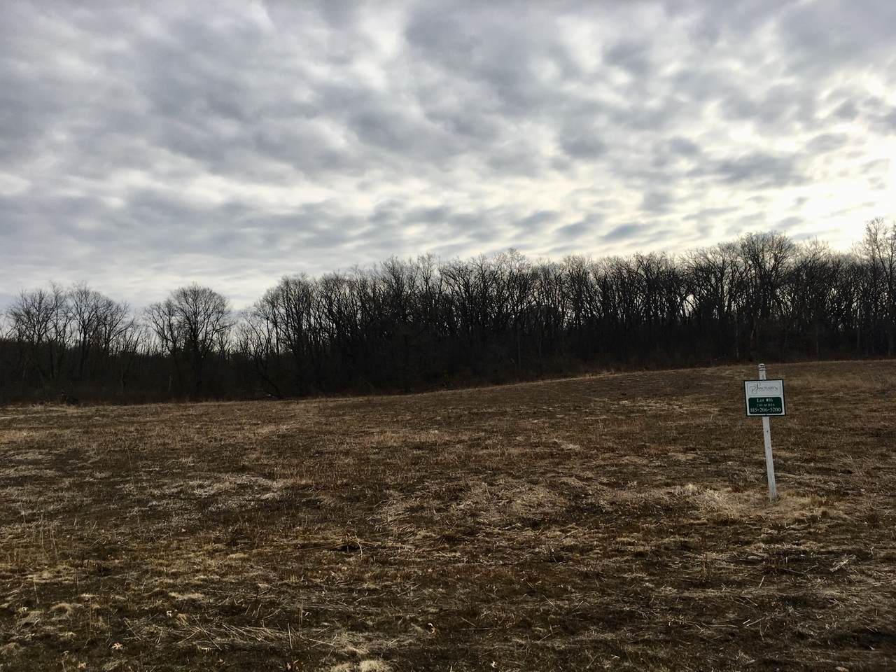 Lot #16 Oakmont Drive - Photo 1