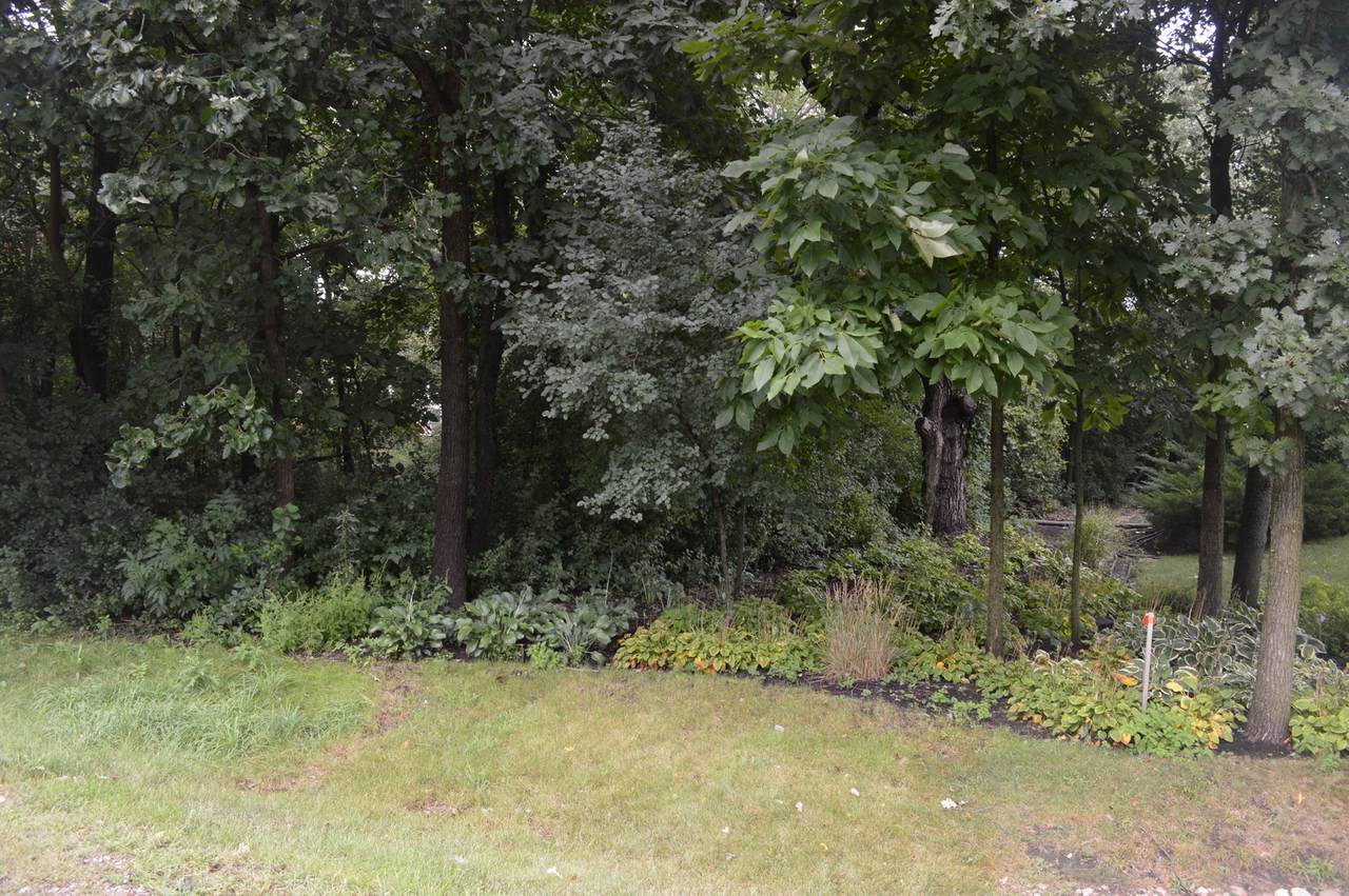 Lot 9 Shade Tree Circle - Photo 1