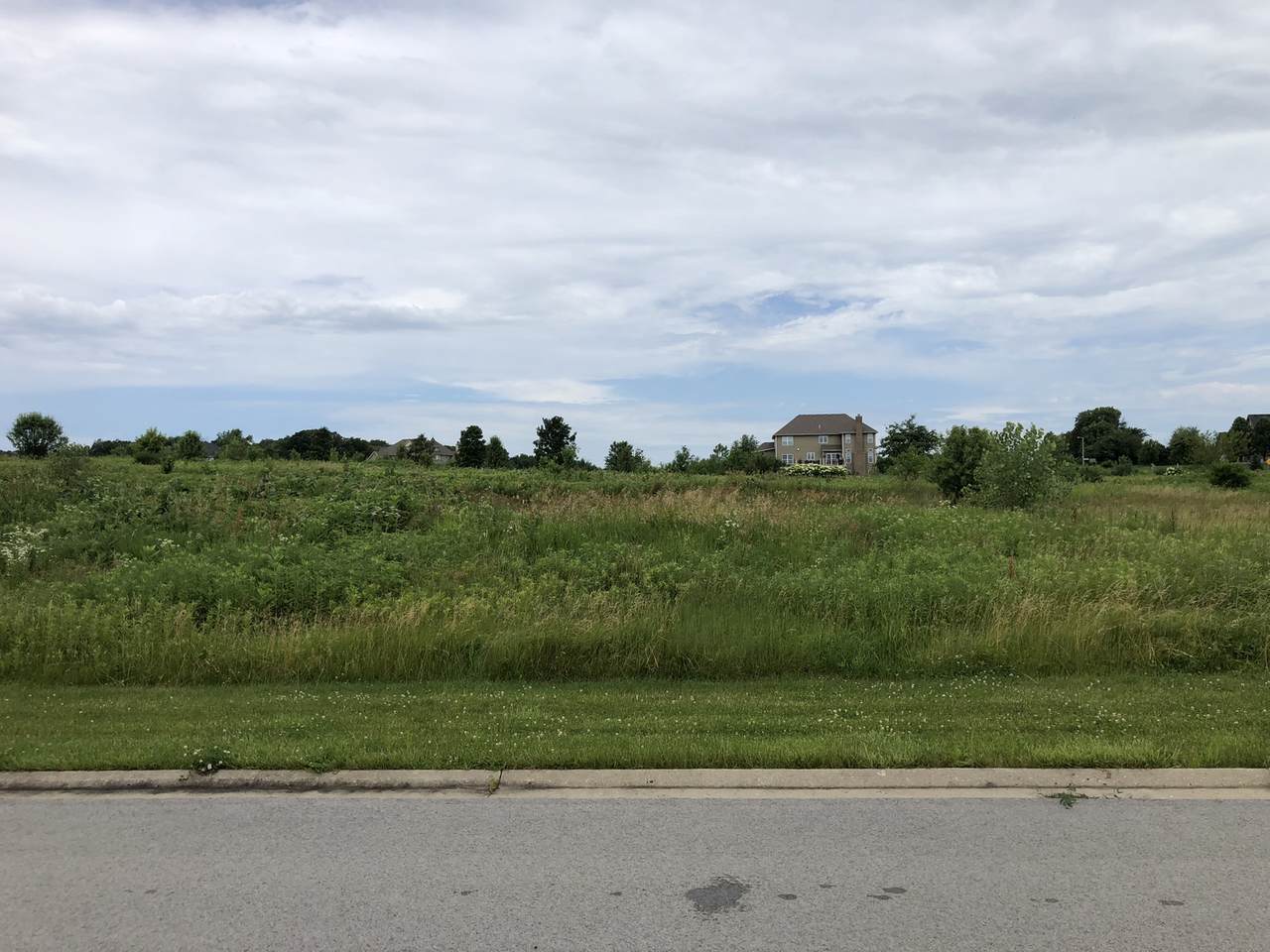 4569 Cherry Road - Photo 1