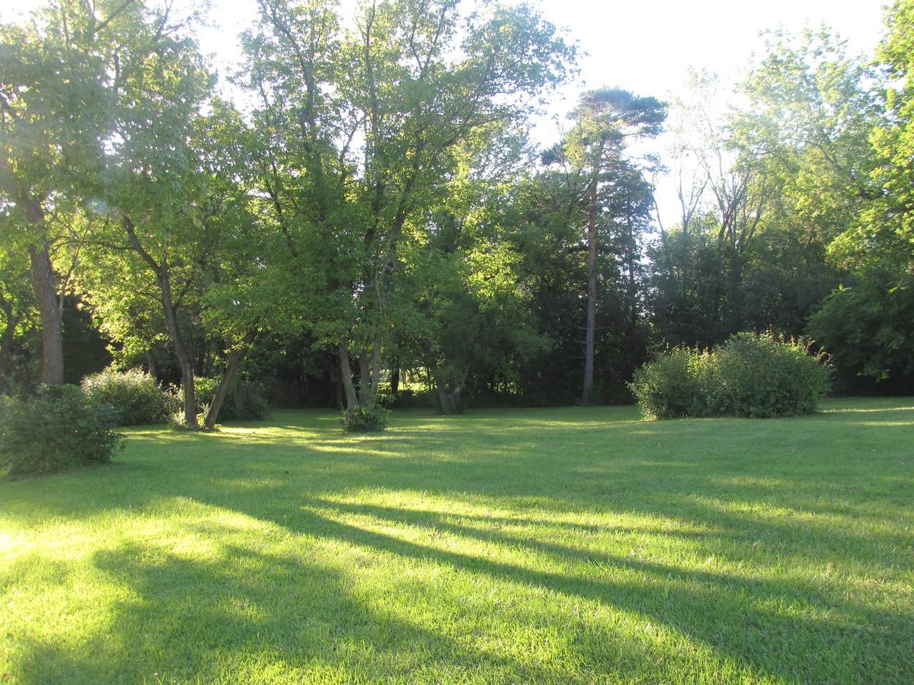 24570 Blackcherry Lane - Photo 1