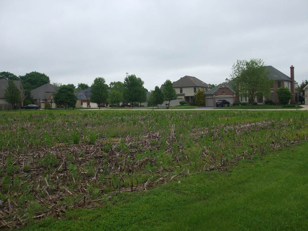Lot 87 Blue Lake Circle - Photo 1