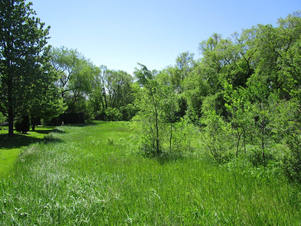 000 IL Route 176 Highway - Photo 1