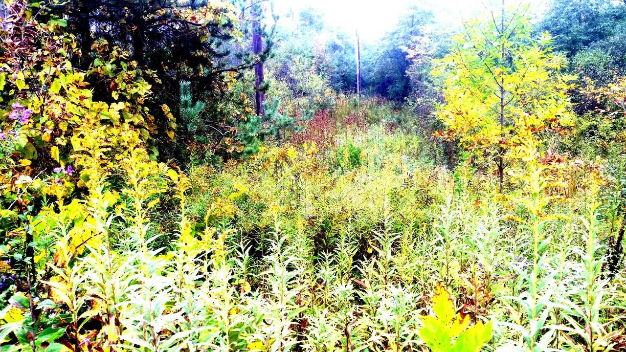 0 County Line Road - Photo 1