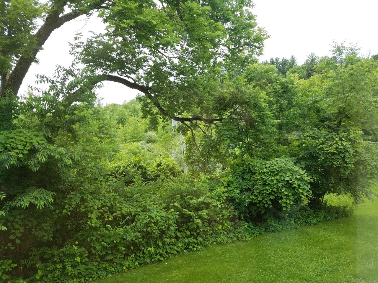 XXX Devil's Backbone (10 Acres) - Photo 1