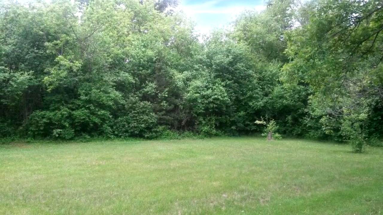 4717 Wallens Drive - Photo 1