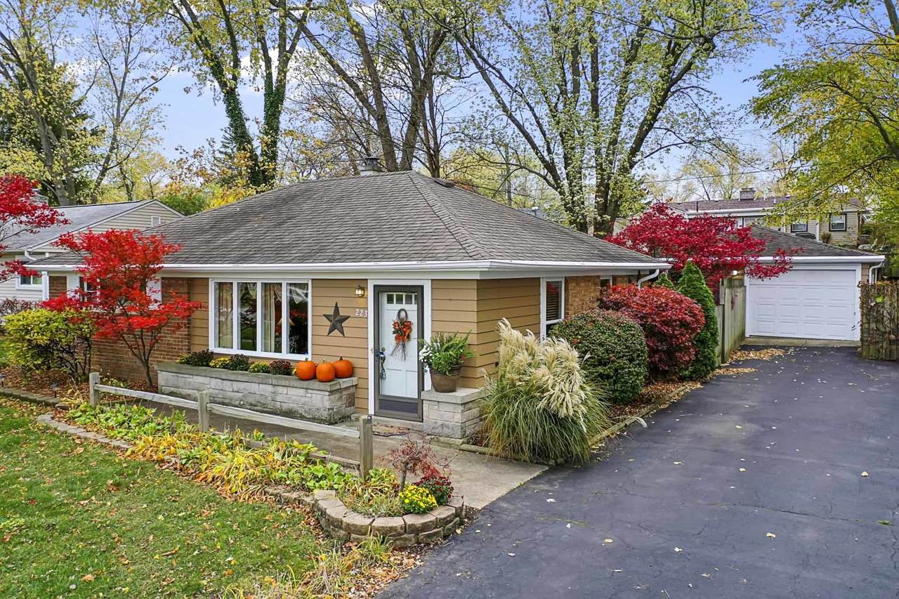 223 Sauk Trail - Photo 1
