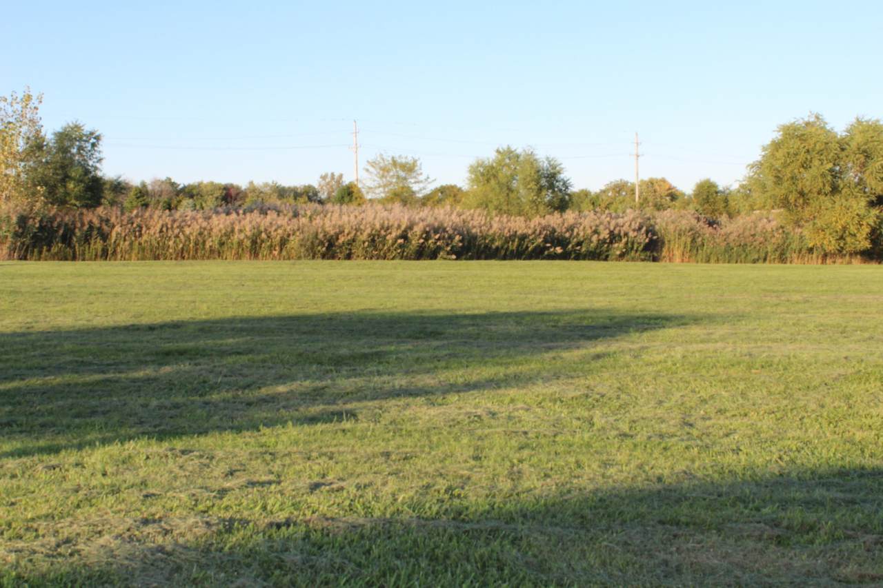 1919 Tallgrass Turn - Photo 1