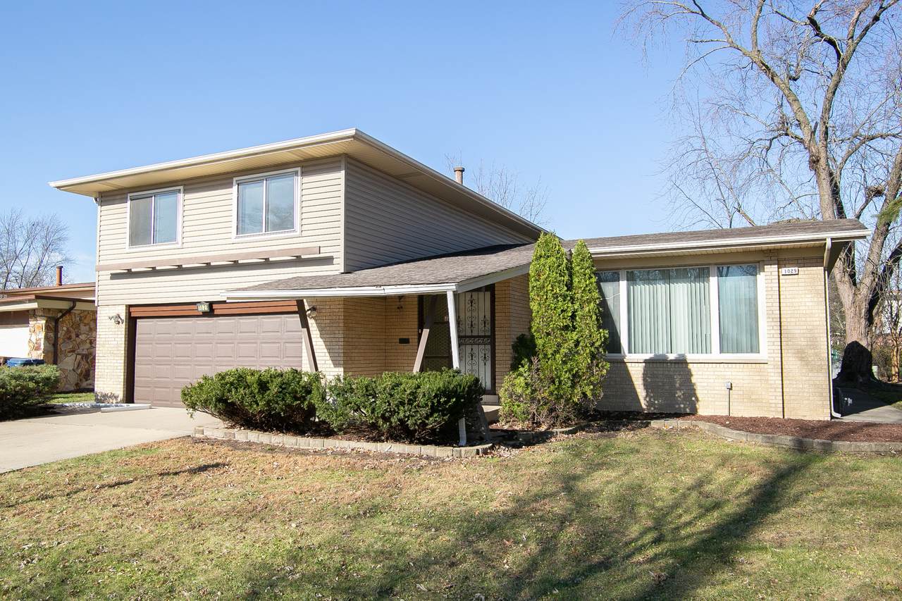 1029 Indiana Street - Photo 1