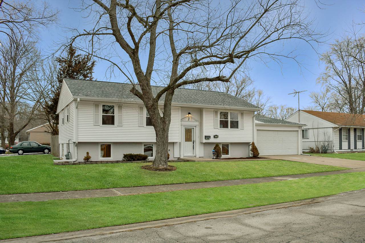 113 Chestnut Lane - Photo 1