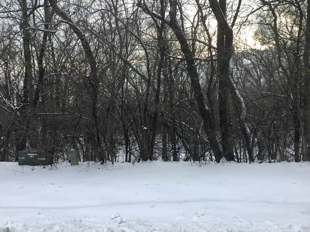 61 Wynstone Drive - Photo 1