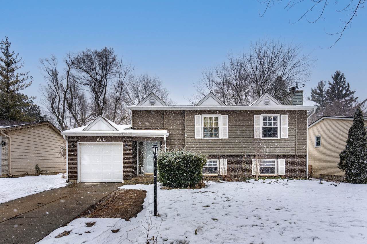 617 Raupp Boulevard - Photo 1