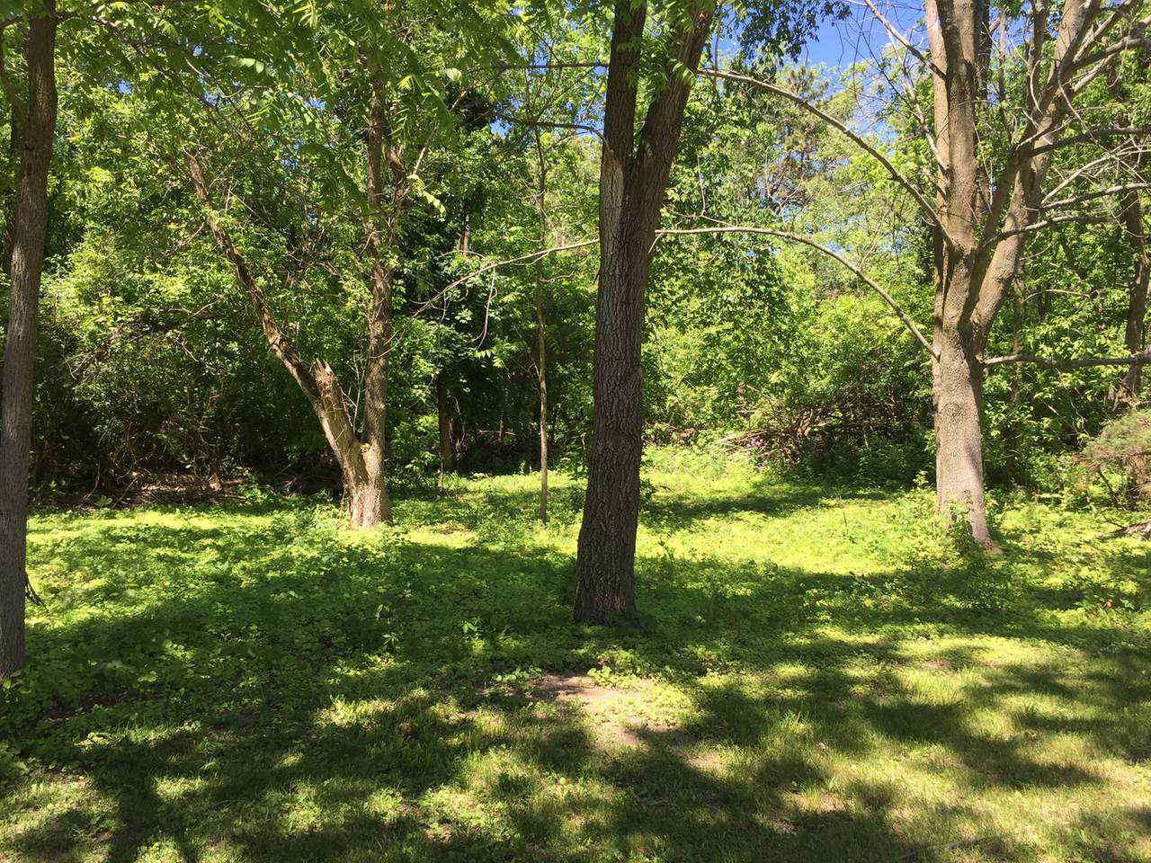 37255 Sheridan Road - Photo 1