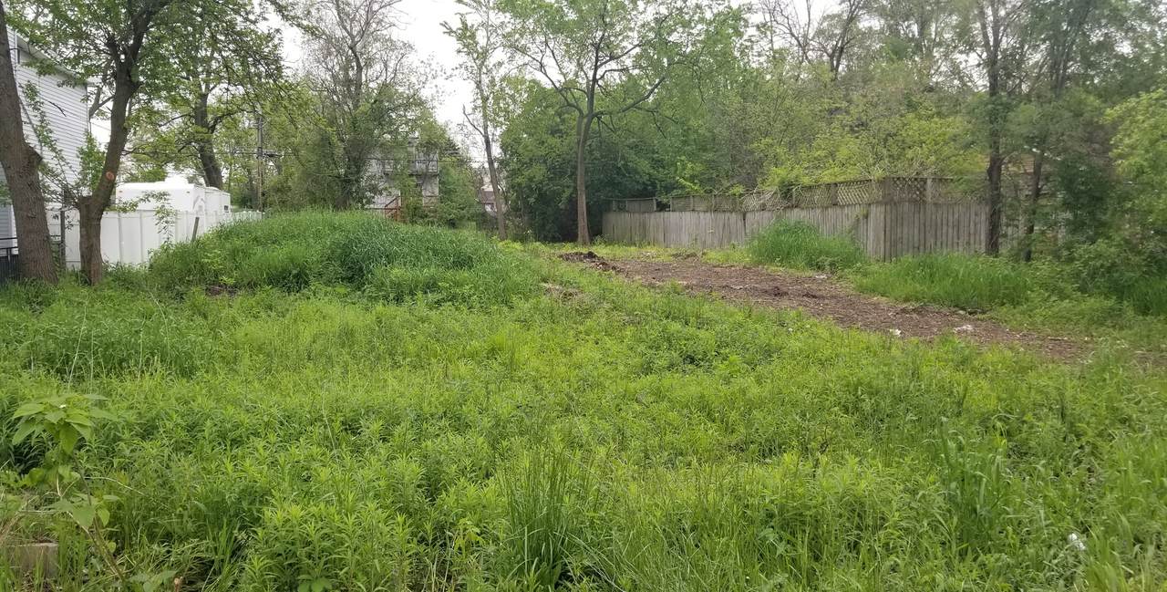 3N241 Cardinal Street - Photo 1