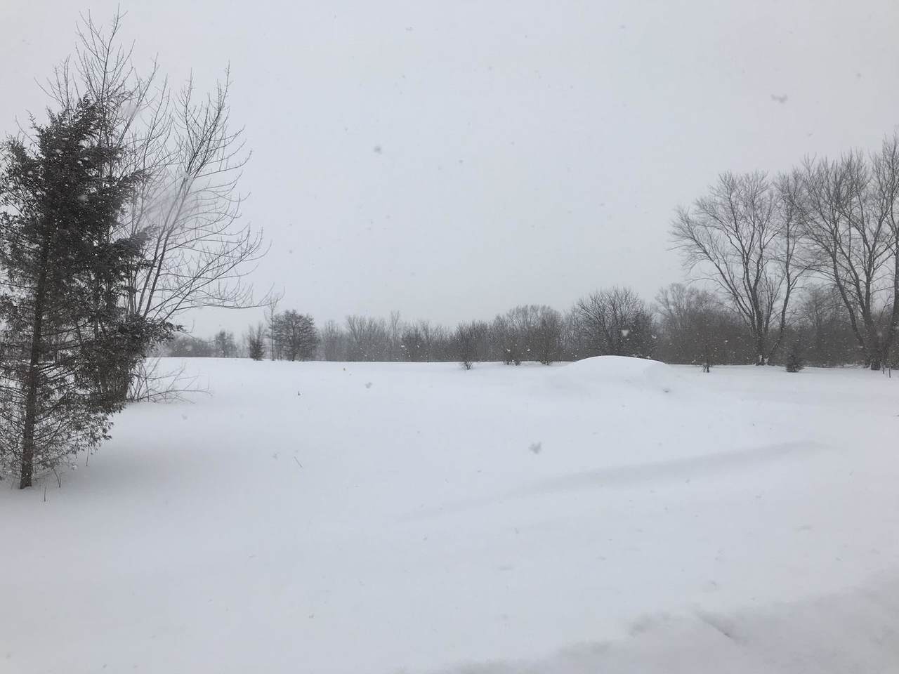 vacant Monee-Manhattan Road - Photo 1