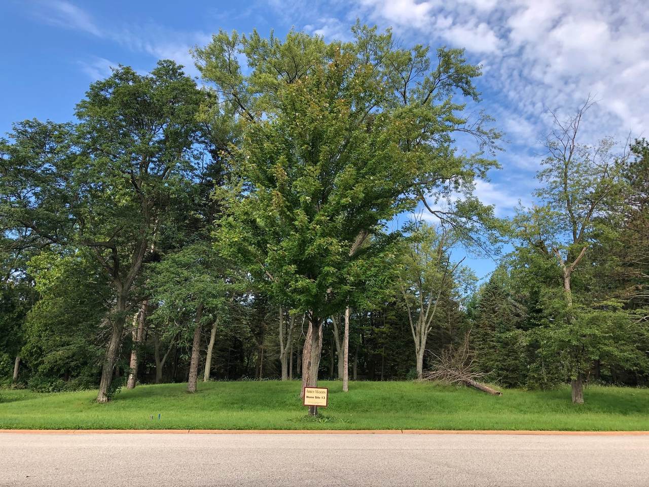 Lot 13 Abbey Woods Drive - Photo 1