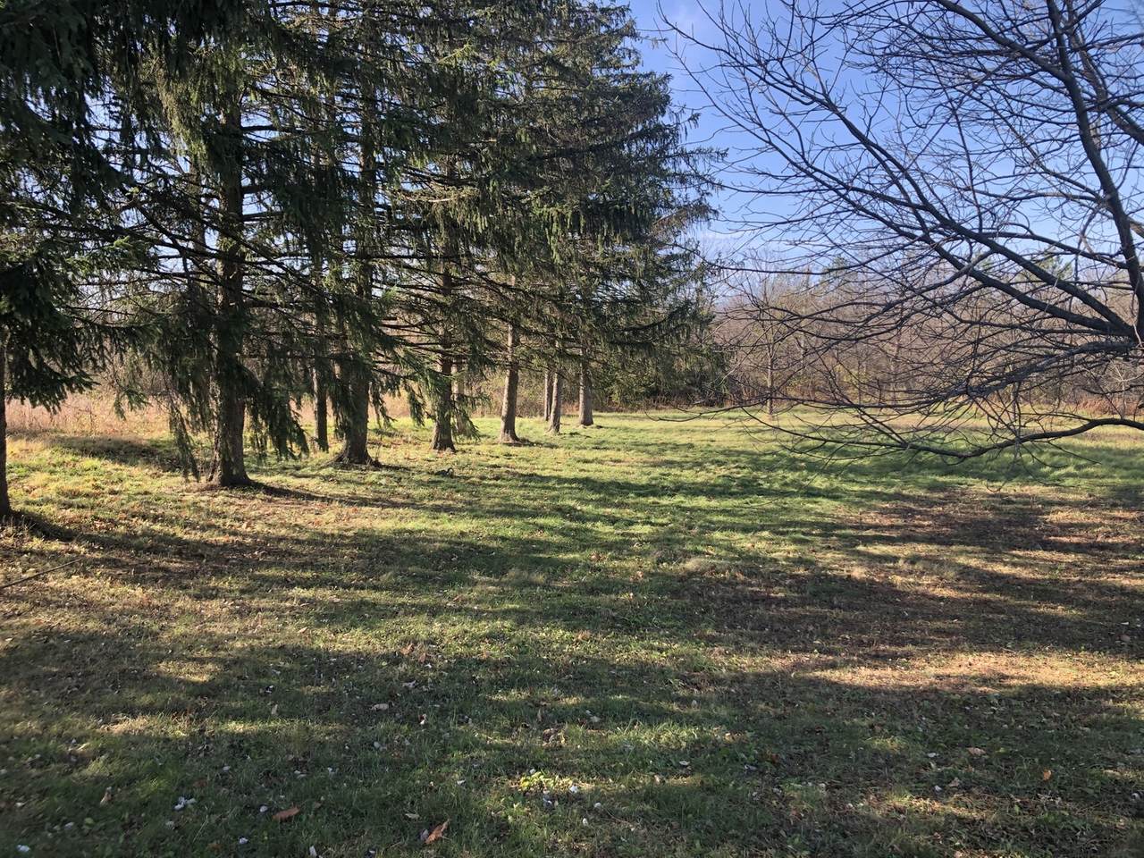 Lot 11 Abbey Woods Drive - Photo 1