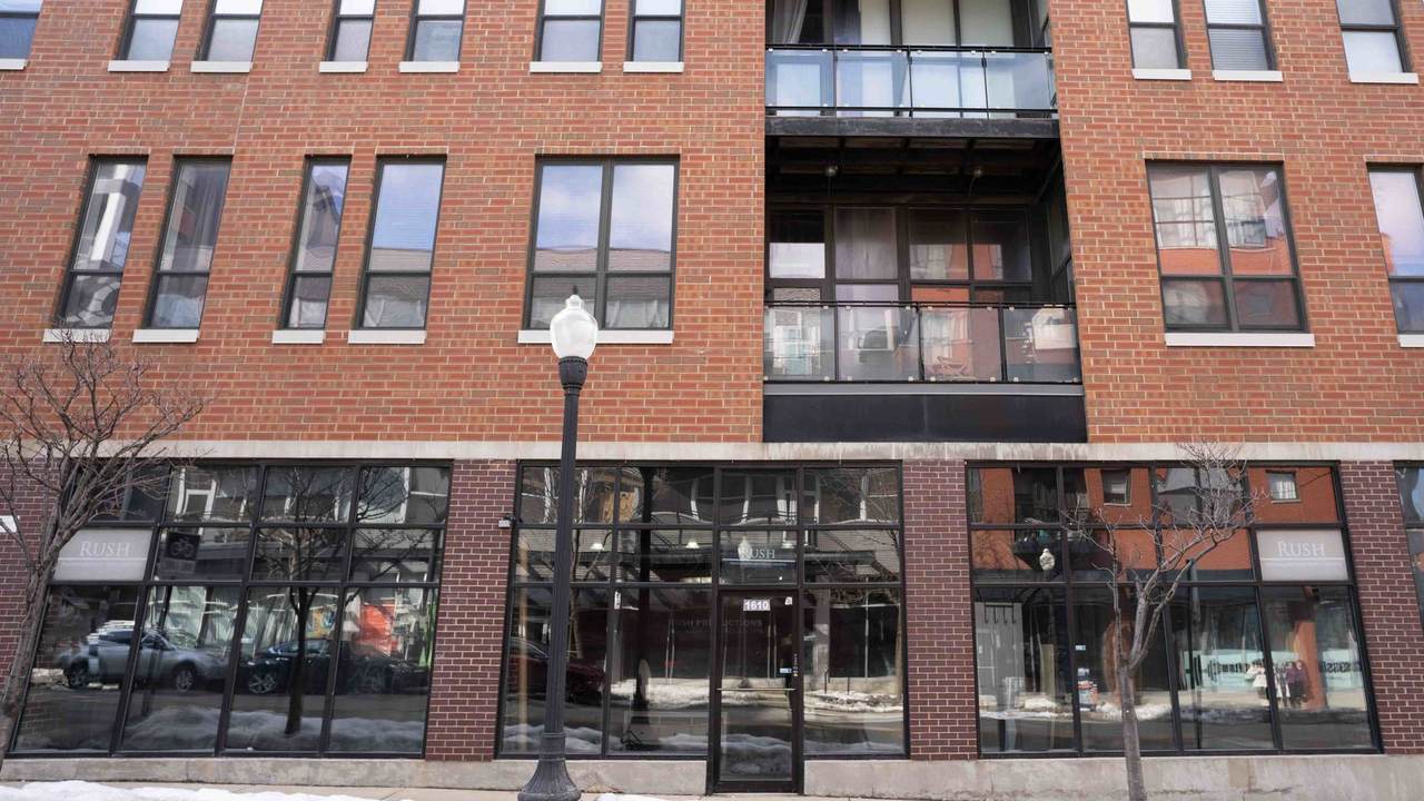 1610 Halsted Street - Photo 1