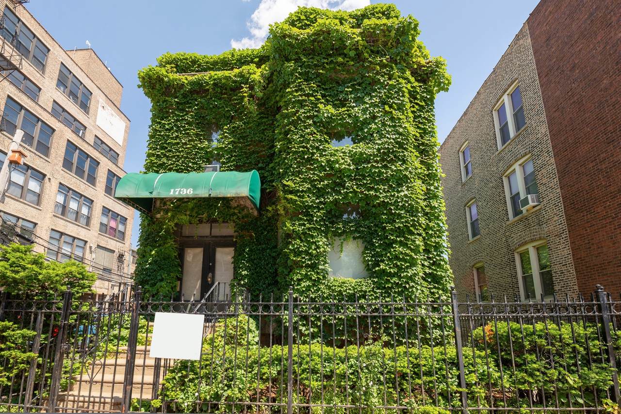 1736 Irving Park Road - Photo 1