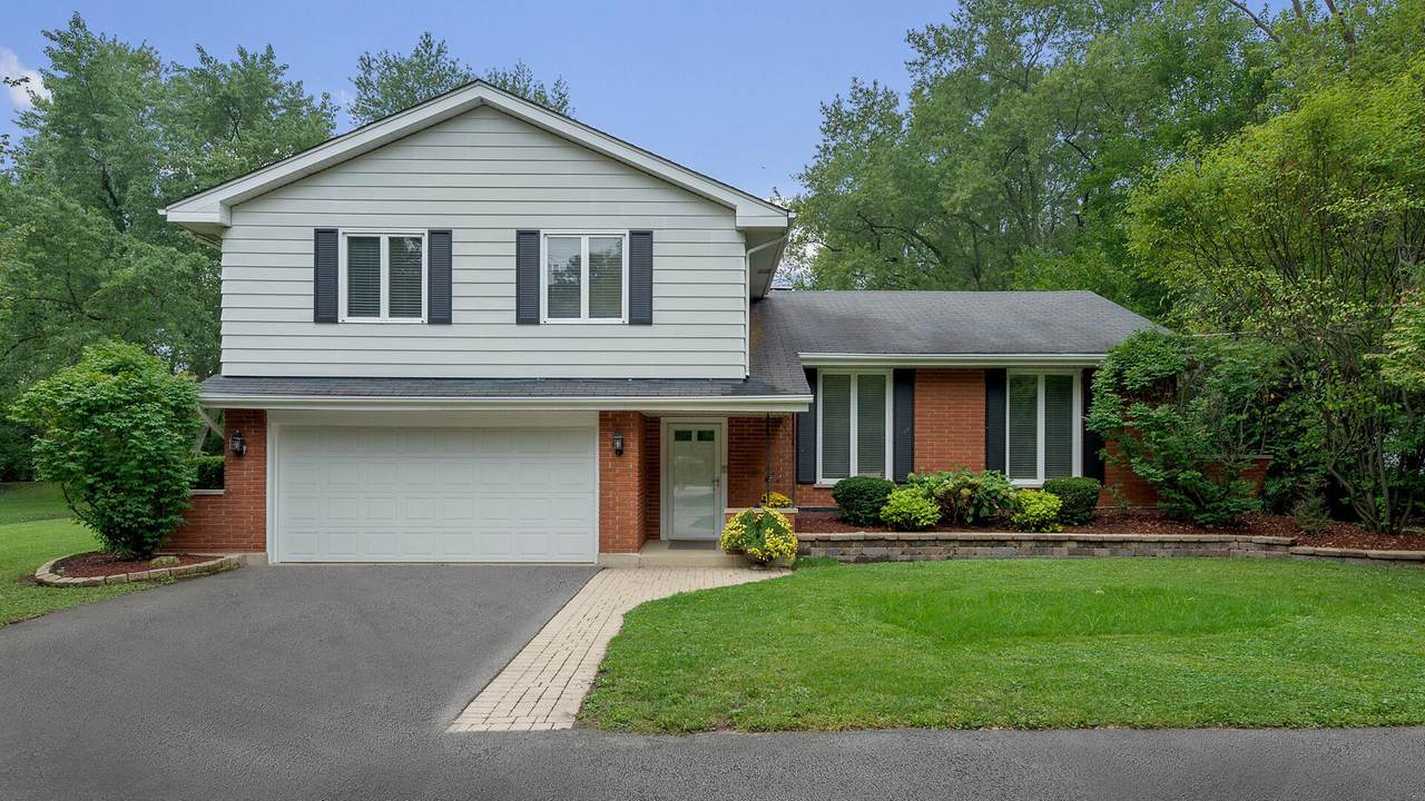 8740 Lemont Road - Photo 1