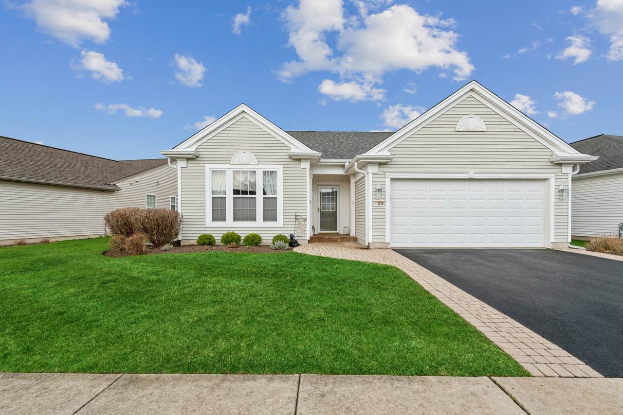 11836 Borhart Drive - Photo 1