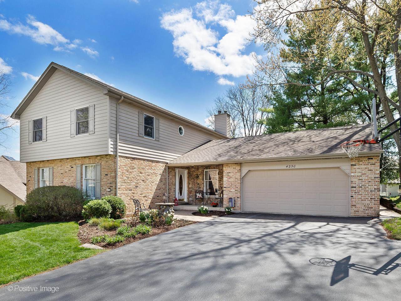 4230 White Birch Drive - Photo 1